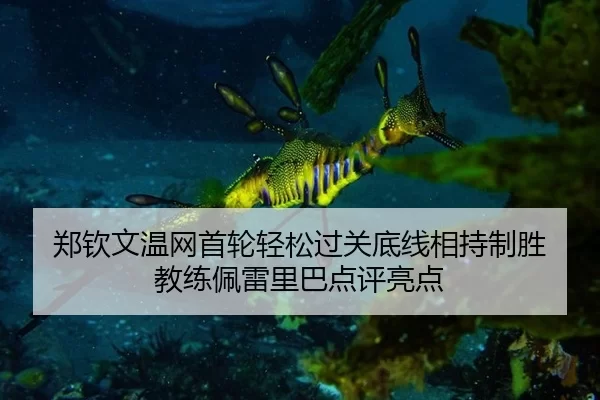郑钦文温网首轮轻松过关底线相持制胜 教练佩雷里巴点评亮点